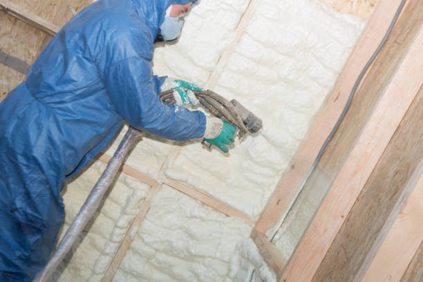 Best Thermal Imaging for Insulation Gaps  in Lloyd Harbor, NY